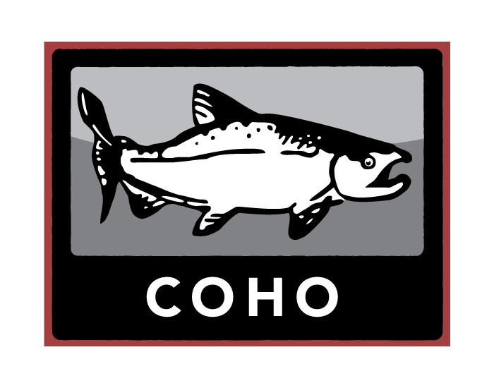Coho Salmon Flag Illustration